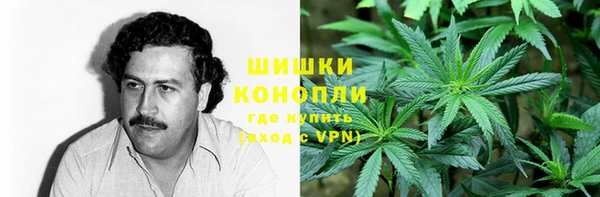твердый Новозыбков