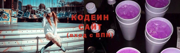 хмурый Гусь-Хрустальный