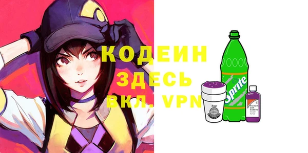 хмурый Гусь-Хрустальный