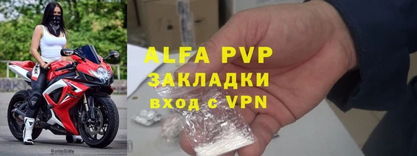 сатива Осинники