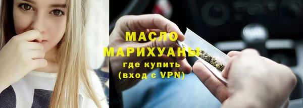 хмурый Гусь-Хрустальный