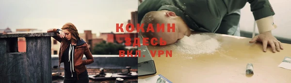 трава Осташков