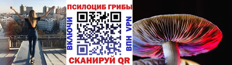 Псилоцибиновые грибы мицелий  где найти   Окуловка 